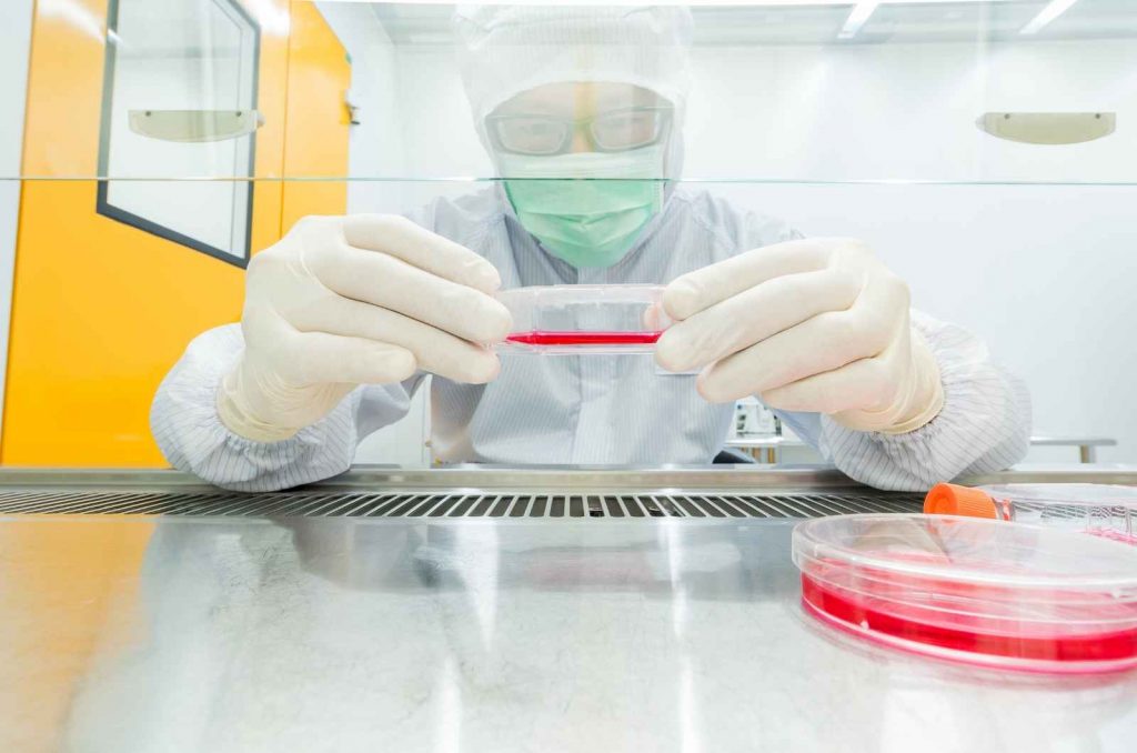 cell based assay