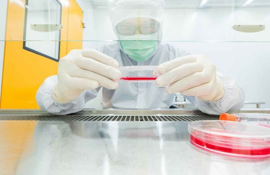 cell based assay2